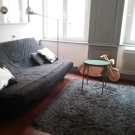 La Petite Victoria -stanislas & Vieille -40m2 Nancy
